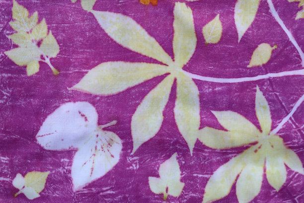 纹理背景的自然黄和白叶子从生态印刷过程。图片下载