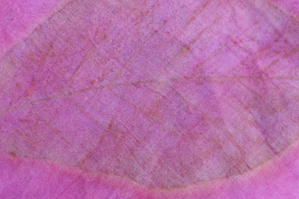 纹理背景的自然黄叶从生态印刷过程。图片下载