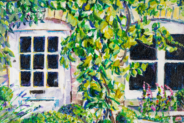 花园的花图片下载