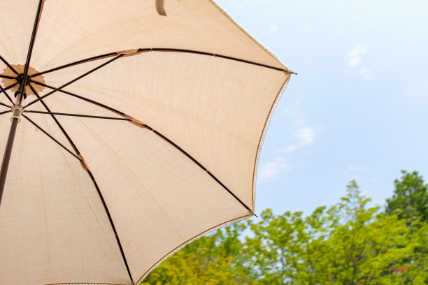 白色的阳伞在夏日的阳光下图片下载