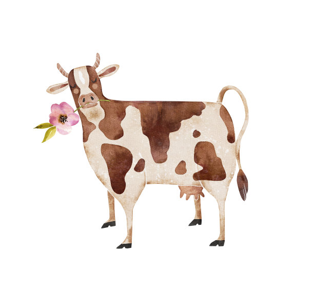牛与花在卡通风格水彩画插图。图片下载