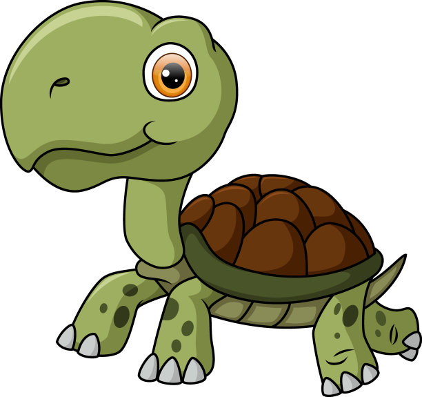 可爱的乌龟卡通在白色的背景图片下载
