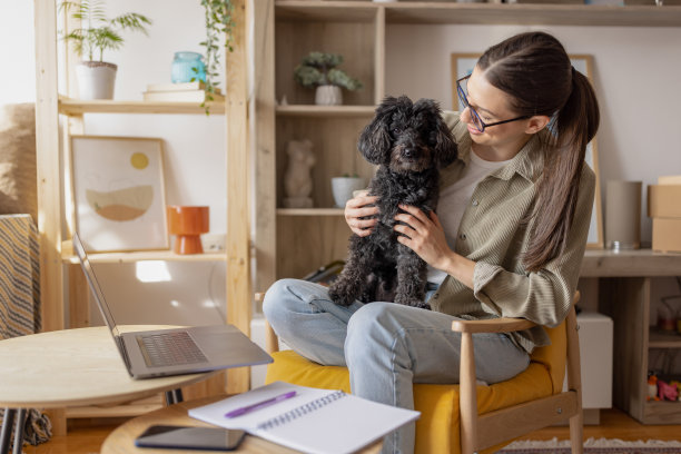 年轻漂亮的女人在客厅工作时与她的狗建立联系图片下载