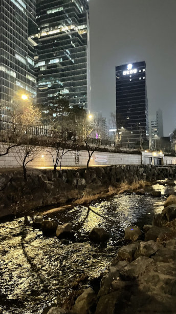 冬天的一天，首尔图片下载