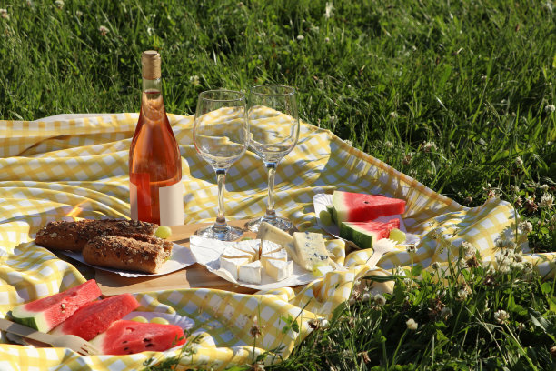 户外绿草地上的野餐毯子，美味的食物和美酒图片下载
