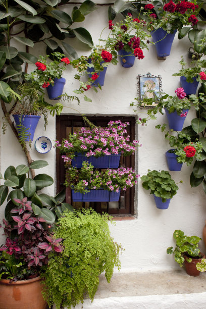 科尔多瓦住宅庭院图片下载