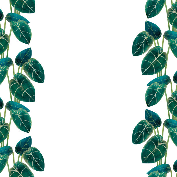 垂直框架的绿色热带树叶。沉香黑丝绒。丛林植物图片下载