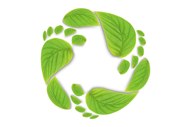 绿叶生长的脚印，白色背景上孤立的二氧化碳符号。减少二氧化碳排放的概念。清洁友好的环境，没有二氧化碳排放。图片下载