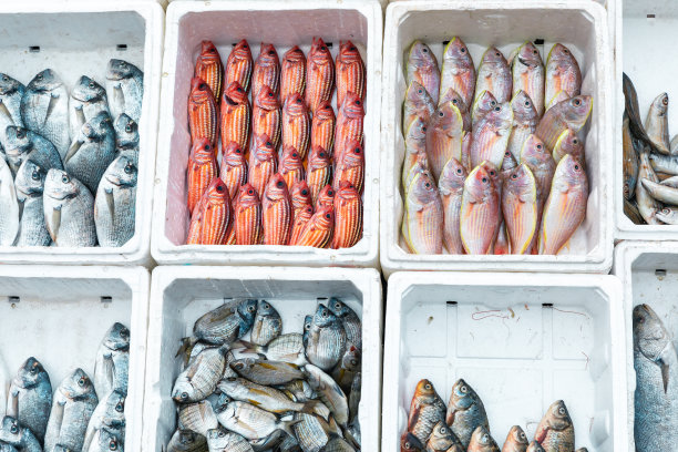 黎巴嫩贝鲁特传统食品市场上的鲜鱼，鱼放在白色盒子里图片下载