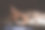 黑暗中躺在床上的女人是睡不着的。失眠，睡眠障碍，昼夜节律的概念。图片下载
