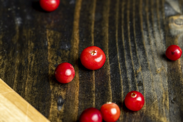 在沼泽中收获的红熟蔓越莓图片下载