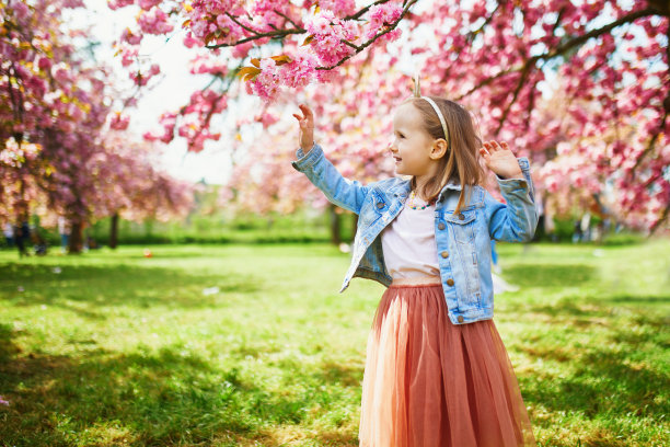 穿着芭蕾舞裙的学龄前女孩在樱花园里享受美好的春日图片下载