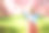 穿着芭蕾舞裙的学龄前女孩在樱花园里享受美好的春日图片下载
