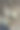 树皮上的绿色地衣垂直共生图片下载
