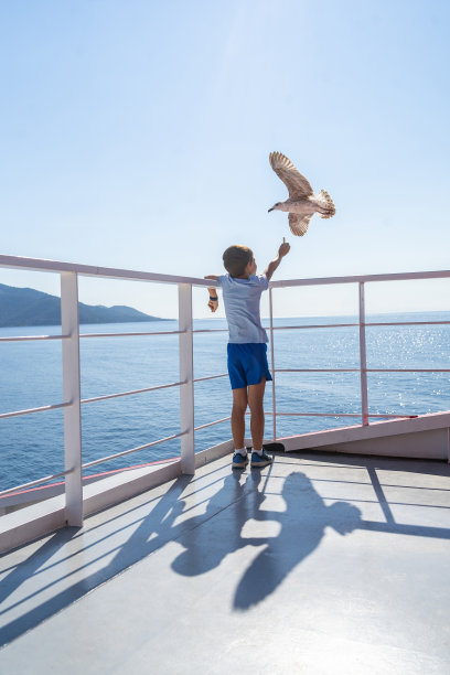 女孩在船上喂鸟图片下载