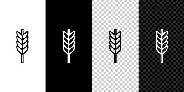 设置线谷物设置大米，小麦，玉米，燕麦图片下载