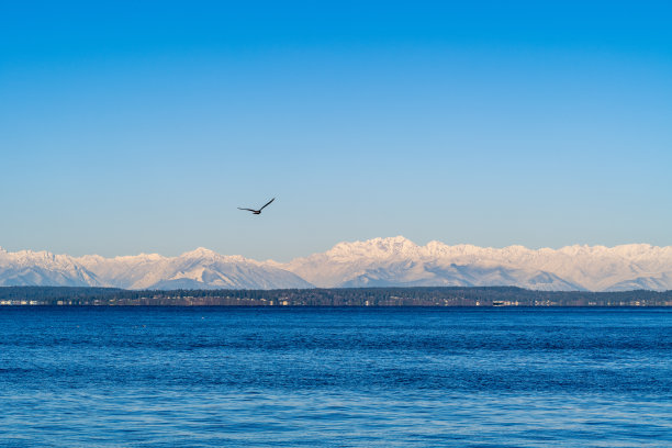 普吉特湾海滨日出图片下载
