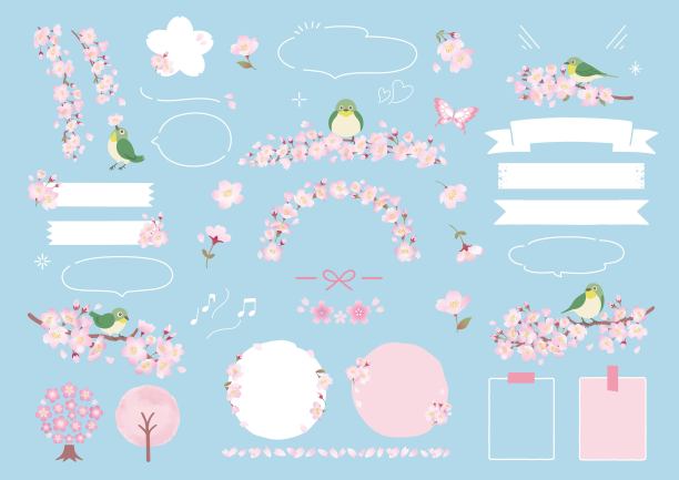 日本白眼和弹簧框架设计栖息在樱花枝上图片下载