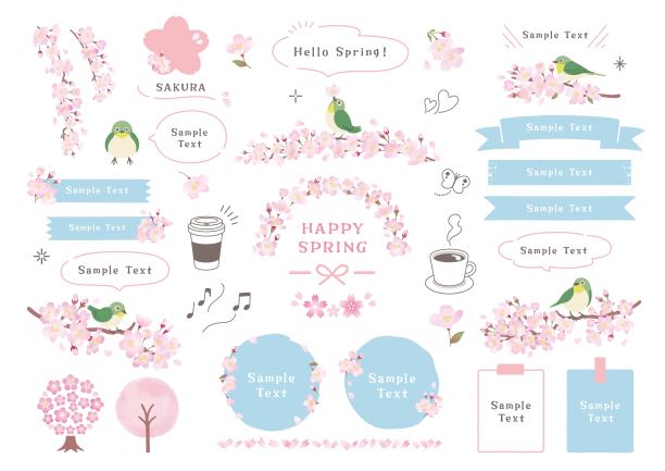 白色的眼睛和春天的框架设计材料栖息在樱花枝图片下载