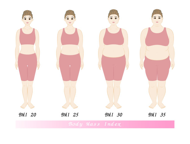 一个胖女人减肥前后的矢量图。健康的生活方式。根据BMI指数，年轻女性的体型变化图片下载