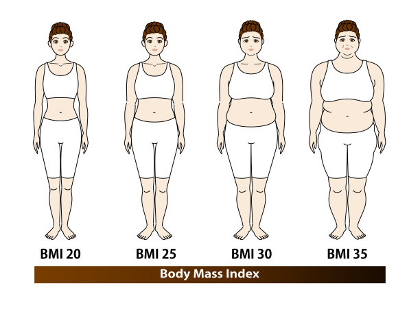 肥胖和减肥。之前和之后。矢量插图。根据BMI指数，年轻女性的体型变化。图片下载