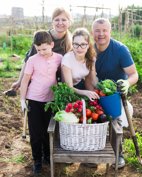 父母带着孩子在花园里摆着一篮子蔬菜图片下载