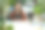 在绿色办公室里处理文件的女老板图片下载