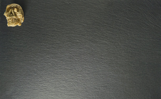 黑色石板岩石背景上自制的小头骨图片下载