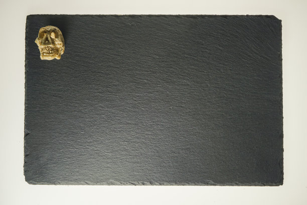 黑色石板岩石背景上自制的小头骨图片下载