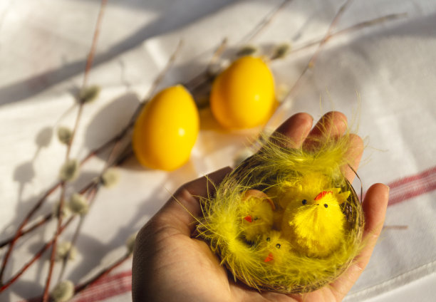在复活节彩蛋的背景下，手握黄色的鸡窝图片下载