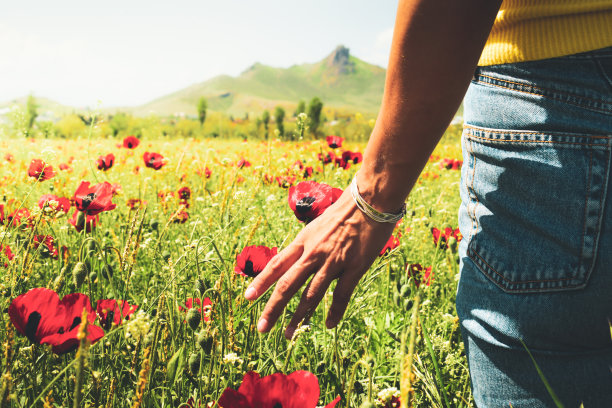 迷人的女性在夏季牛仔裤触摸与日落为背景的手草地。有意的电影黄金晚间滤镜。概念广角电影辉光背景图片下载