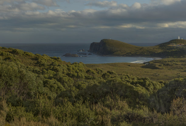 塔斯马尼亚州，布吕尼岛，布吕尼海角图片下载