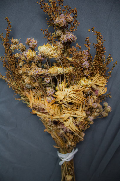 干的花图片下载