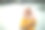 戴头巾的黑人穆斯林妇女在街上使用智能手机图片下载