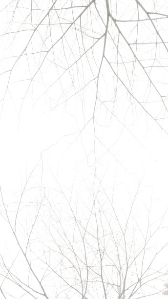 雾中的木头图片下载