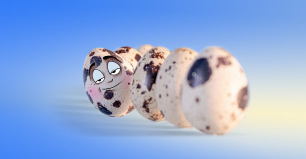 偷窥鹌鹑蛋从蛋站成一排。脸上带着调情的表情。图片下载