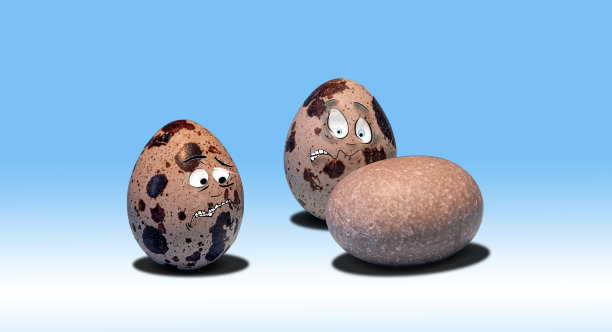 两个鹌鹑蛋被这个发现吓坏了，站在一块石头旁边图片下载
