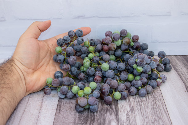 人的手展示着葡萄的收获图片下载