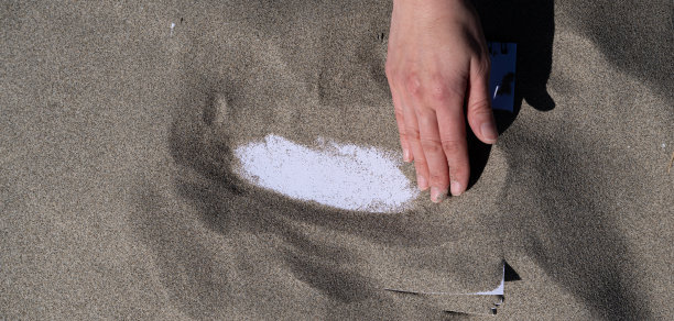 在沙滩上玩耍图片下载