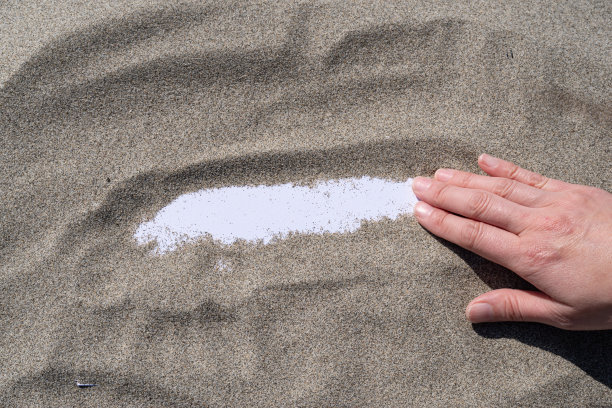 在沙滩上玩耍图片下载