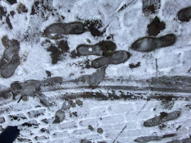 雪地里的脚印图片下载