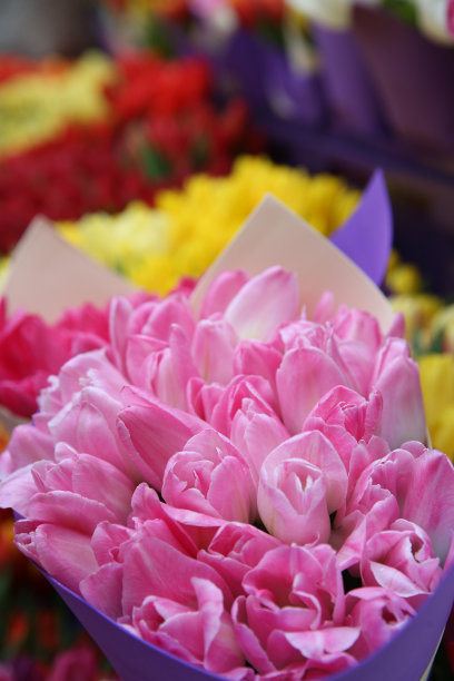 包含粉色、黄色和红色郁金香的花束，三八妇女节礼物，节日春季装饰图片下载