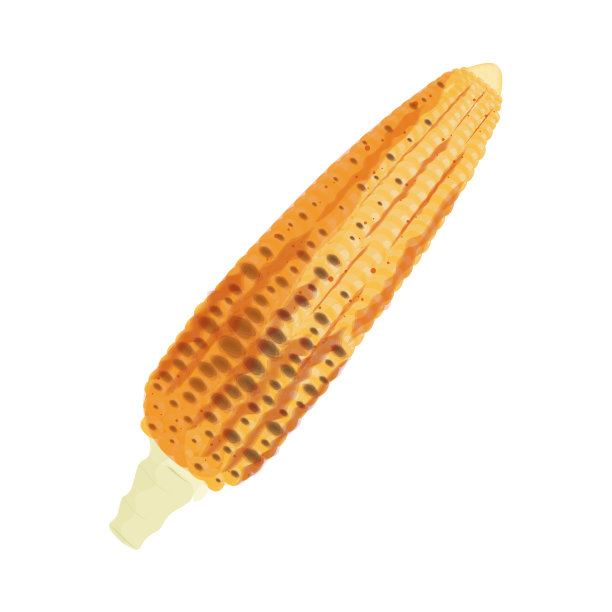 烤玉米简单插图在白色背景图片下载