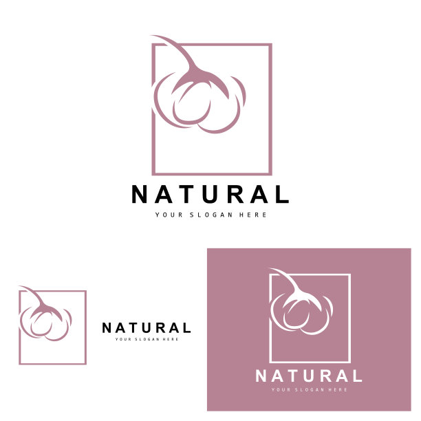 棉花标志，天然生物有机植物设计，美容纺织品和服装载体，柔软的棉花花图片下载