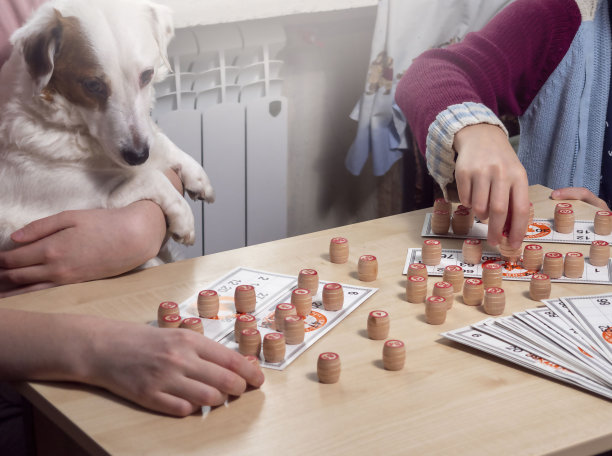 十几岁的孩子在玩棋盘游戏。娱乐图片下载