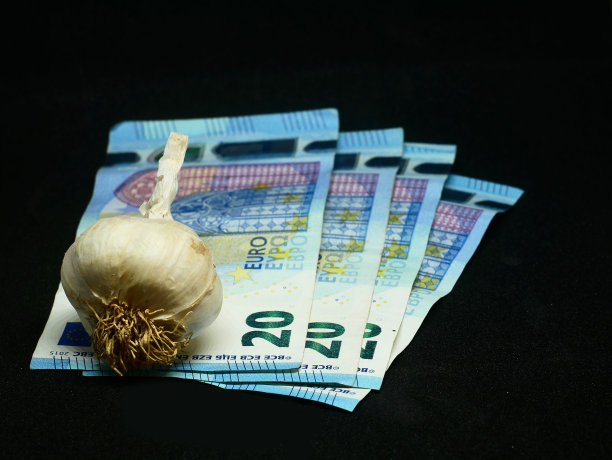 大蒜出现在20欧元纸币上，黑色背景。图片下载