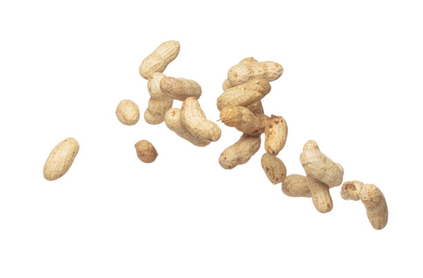 煮花生飞炸，煮花生倒倒。热带煮花生扔在空中。白色背景隔离高速快门，冻结动作图片下载