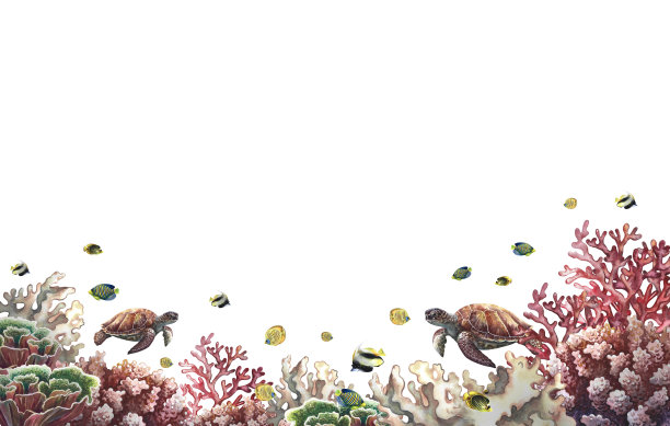 白色背景下的水下世界。手绘水彩画。用于标签、名片和横幅的背景图片下载