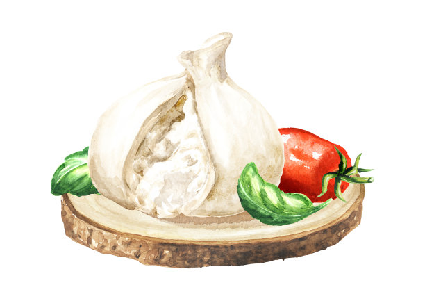 意大利软奶酪配番茄和罗勒。手绘水彩插图，孤立的白色背景图片下载