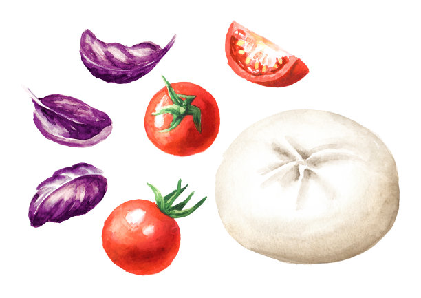 布拉塔软奶酪配番茄和罗勒。手绘水彩插图孤立的白色背景图片下载